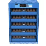 Generic Automatic 320 Eggs Incubator (AC/ DC Dual Power: Solar)