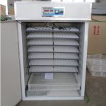 528 Eggs Incubator Single function