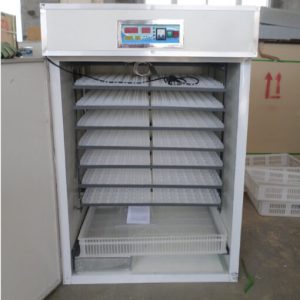 528 Eggs Incubator Single function