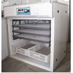 528 Eggs Incubator Fully Automatic And Hatchery Birds Eggs Incubator